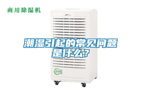 潮湿引起的常见问题是什么？