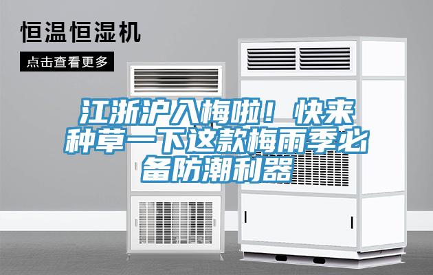 江浙沪入梅啦！快来种草一下这款梅雨季必备防潮利器