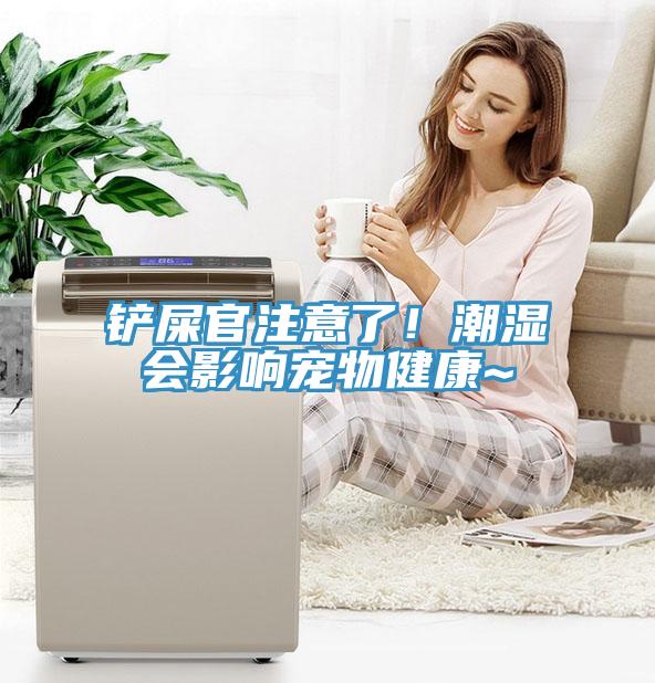 铲屎官注意了！潮湿会影响宠物健康~