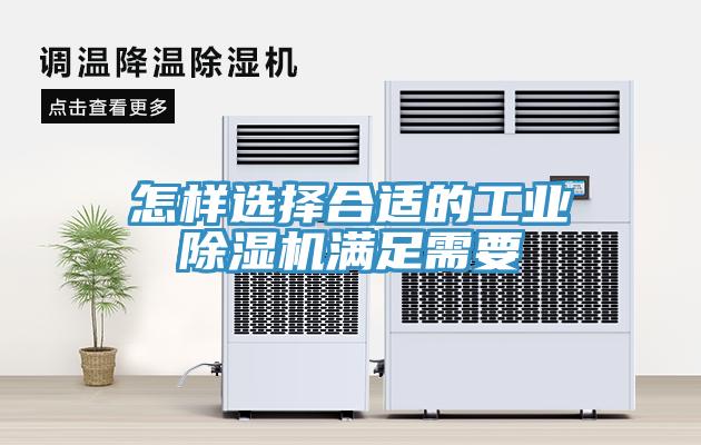 怎样选择合适的工业辣椒视频APP下载并安装满足需要