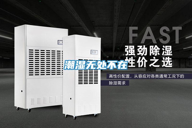 潮湿无处不在