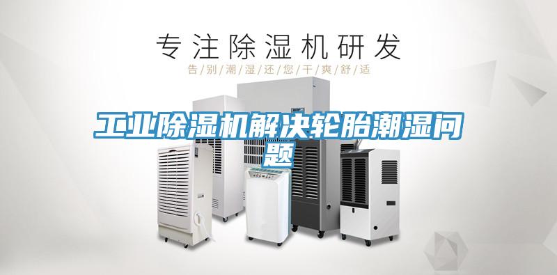 工业辣椒视频APP下载并安装解决轮胎潮湿问题