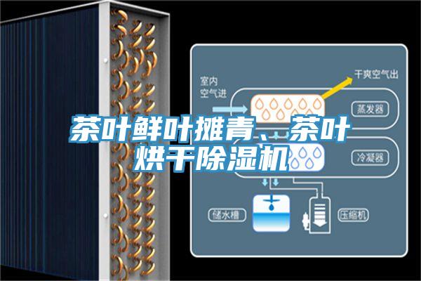 茶叶鲜叶摊青、茶叶烘干辣椒视频APP下载并安装