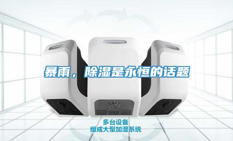 暴雨，除湿是永恒的话题