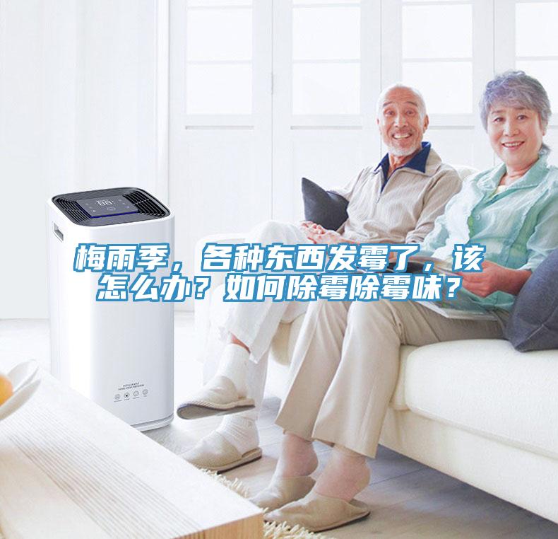 梅雨季，各种东西发霉了，该怎么办？如何除霉除霉味？