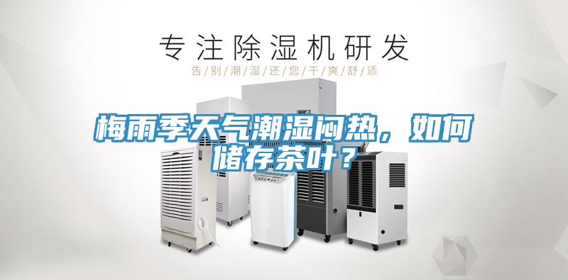 梅雨季天气潮湿闷热，如何储存茶叶？