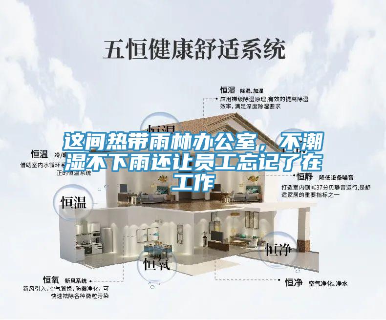 这间热带雨林办公室，不潮湿不下雨还让员工忘记了在工作