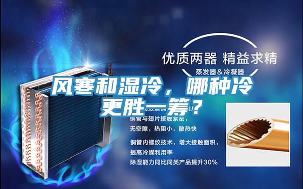 风寒和湿冷，哪种冷更胜一筹？