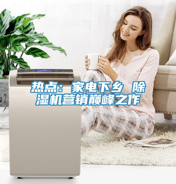 热点：家电下乡 辣椒视频APP下载并安装营销巅峰之作