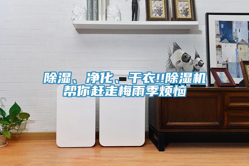 除湿、净化、干衣!!辣椒视频APP下载并安装帮你赶走梅雨季烦恼