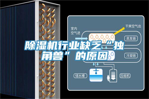 辣椒视频APP下载并安装行业缺乏“独角兽”的原因