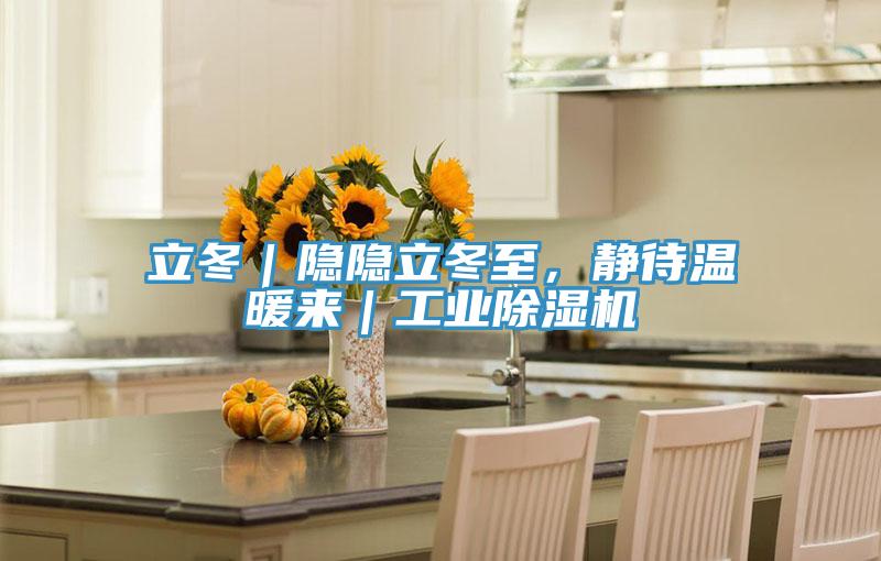 立冬｜隐隐立冬至，静待温暖来｜工业辣椒视频APP下载并安装