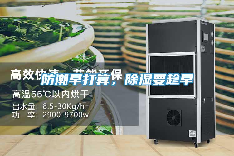 防潮早打算，除湿要趁早