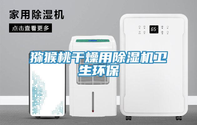 猕猴桃干燥用辣椒视频APP下载并安装卫生环保