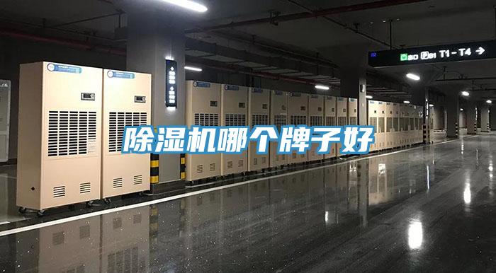 辣椒视频APP下载并安装哪个牌子好