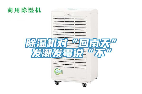 辣椒视频APP下载并安装对“回南天”发潮发霉说“不”