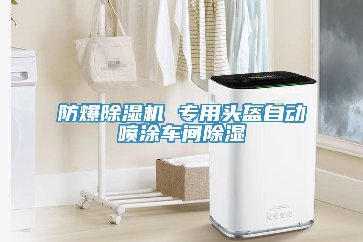防爆辣椒视频APP下载并安装 专用头盔自动喷涂车间除湿