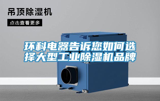环科电器告诉您如何选择大型工业辣椒视频APP下载并安装品牌