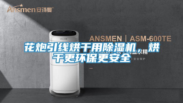 花炮引线烘干用辣椒视频APP下载并安装，烘干更环保更安全