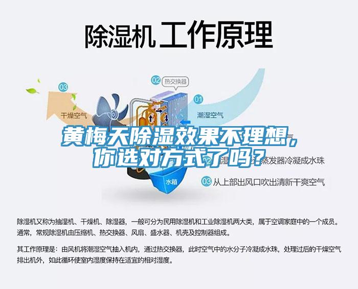 黄梅天除湿效果不理想，你选对方式了吗？