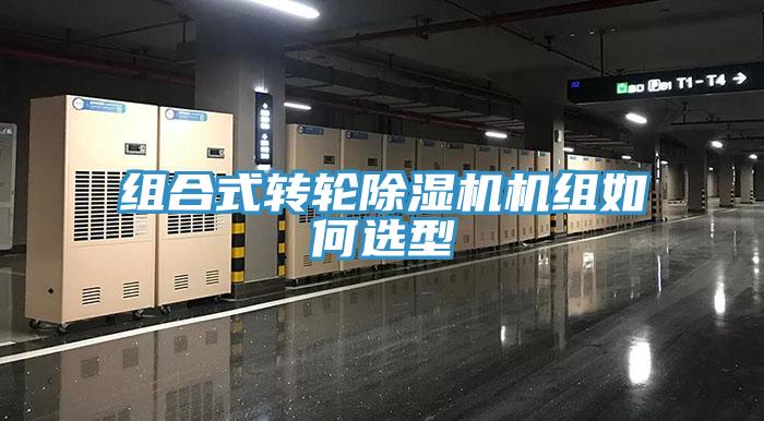 组合式转轮辣椒视频APP下载并安装机组如何选型