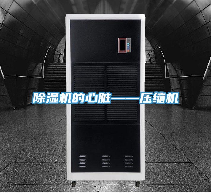 辣椒视频APP下载并安装的心脏——压缩机