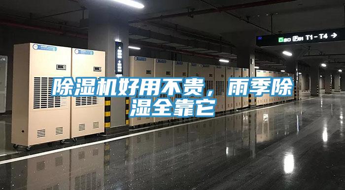 辣椒视频APP下载并安装好用不贵，雨季除湿全靠它