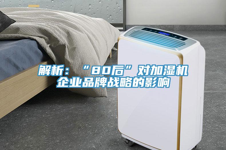 解析：“80后”对加湿机企业品牌战略的影响