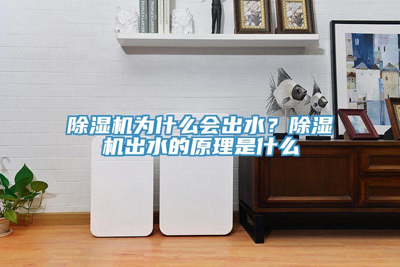 辣椒视频APP下载并安装为什么会出水？辣椒视频APP下载并安装出水的原理是什么