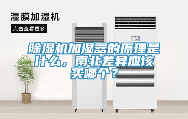 辣椒视频APP下载并安装加湿器的原理是什么，南北差异应该买哪个？