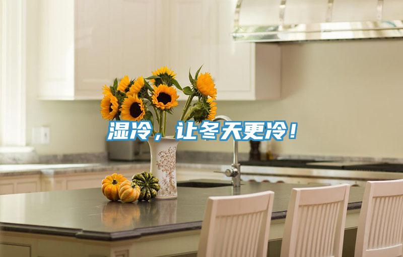 湿冷，让冬天更冷！