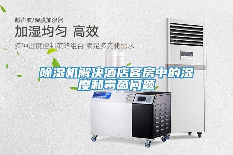 辣椒视频APP下载并安装解决酒店客房中的湿度和霉菌问题