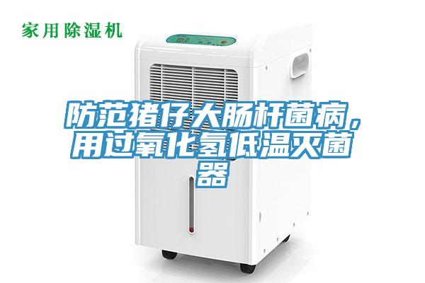 防范猪仔大肠杆菌病，用过氧化氢低温灭菌器