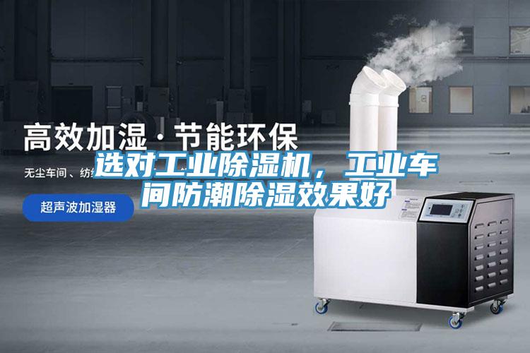 选对工业辣椒视频APP下载并安装，工业车间防潮除湿效果好