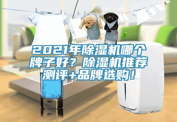 2021年辣椒视频APP下载并安装哪个牌子好？辣椒视频APP下载并安装推荐测评+品牌选购！
