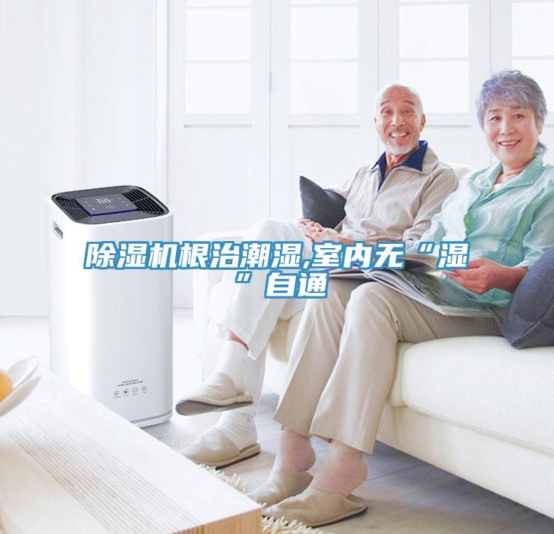 辣椒视频APP下载并安装根治潮湿,室内无“湿”自通
