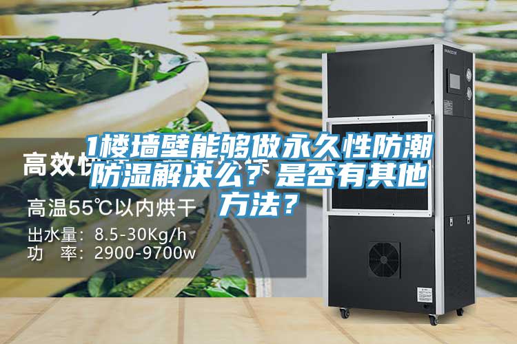 1楼墙壁能够做永久性防潮防湿解决么？是否有其他方法？