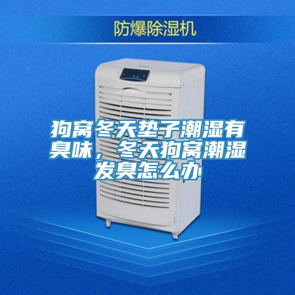 狗窝冬天垫子潮湿有臭味，冬天狗窝潮湿发臭怎么办