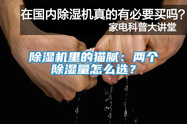 辣椒视频APP下载并安装里的猫腻：两个除湿量怎么选？