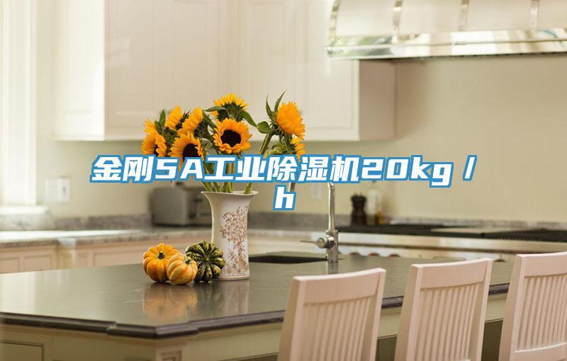 金刚5A工业辣椒视频APP下载并安装20kg／h