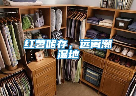 红薯储存，远离潮湿地