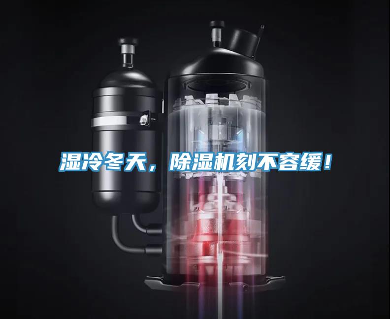 湿冷冬天，辣椒视频APP下载并安装刻不容缓！