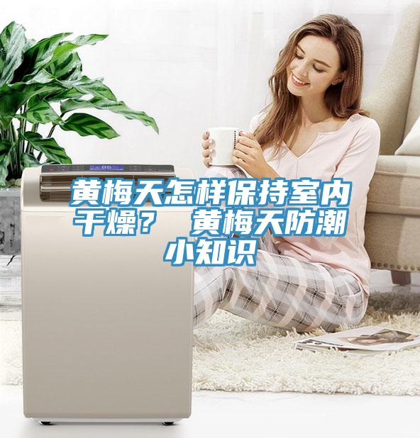 黄梅天怎样保持室内干燥？ 黄梅天防潮小知识