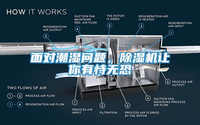 面对潮湿问题，辣椒视频APP下载并安装让你有恃无恐