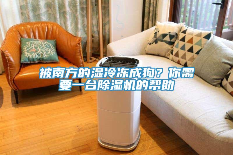 被南方的湿冷冻成狗？你需要一台辣椒视频APP下载并安装的帮助