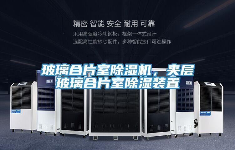 玻璃合片室辣椒视频APP下载并安装，夹层玻璃合片室除湿装置