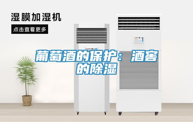 葡萄酒的保护：酒窖的除湿
