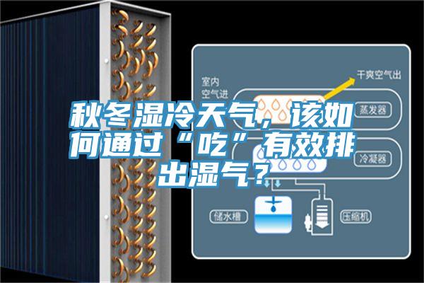 秋冬湿冷天气，该如何通过“吃”有效排出湿气？