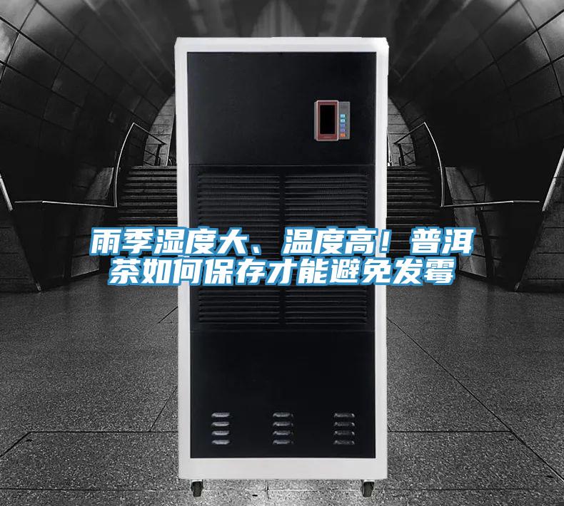 雨季湿度大、温度高！普洱茶如何保存才能避免发霉