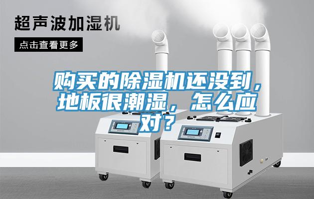 购买的辣椒视频APP下载并安装还没到，地板很潮湿，怎么应对？